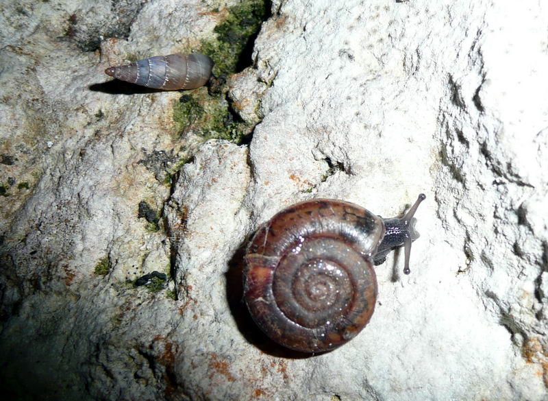 Ritrovamenti in Abruzzo